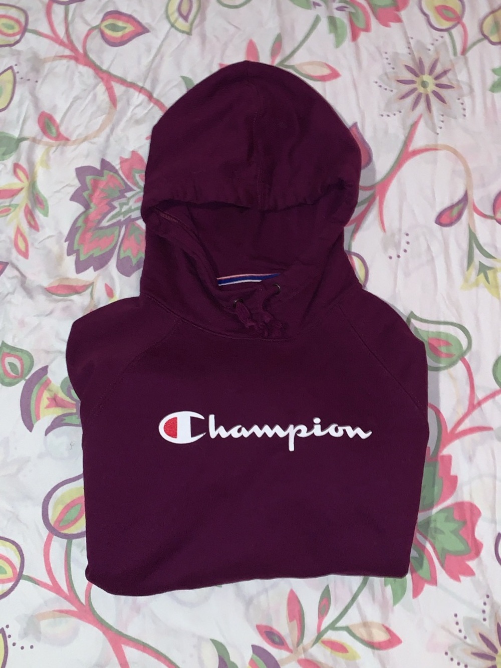 Champion Hooded Sweatshirt in Plum